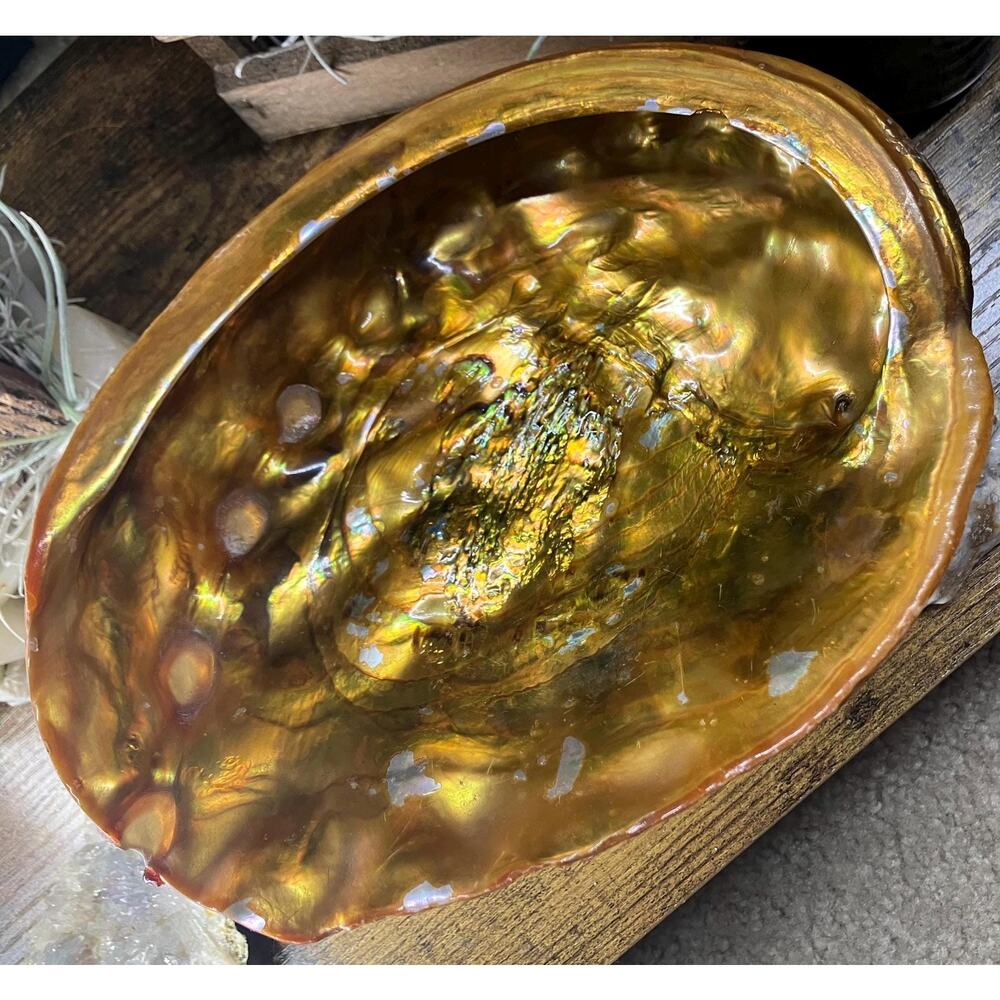 Vintage Hollywood Regency Coastal Abalone Pearl Shell Cigar Ashtray - Picture 3 of 9